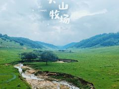 -关山草原