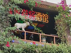 -磁器口古镇