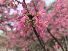 -白塘生态植物园