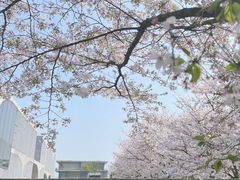 -龙美术馆(西岸馆)