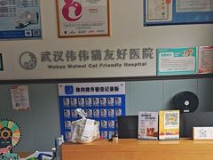 -伟伟宠物医院·瑞派猫友好医院·猫科(光谷店)