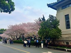 -武汉大学-樱园