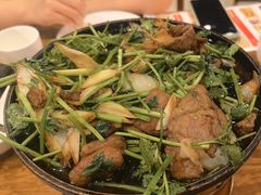 -金鼎轩(方庄天坛店)