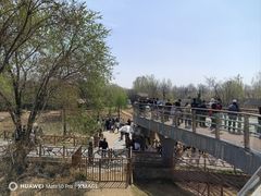 -临沂动植物园