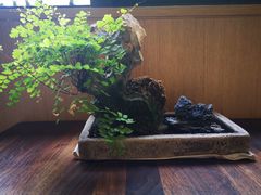-梅间堂茶馆(绿地缤纷城店)