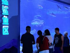 -多彩贵州城极地海洋世界