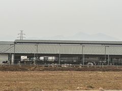 -君乐宝优致牧场