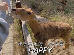 -良渚古城遗址公园