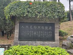 -九龙寨城公园