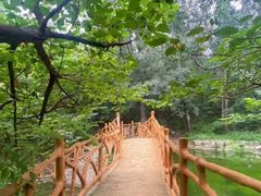 -封龙山风景区