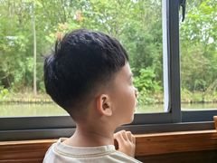 -溱湖国家湿地公园