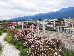 -唐咖精品咖啡(大理古城手冲店)