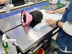 -瑞派动物医院·猫专科·至诚(江南中分院)