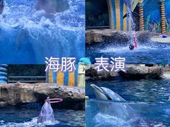 -郑州海洋馆