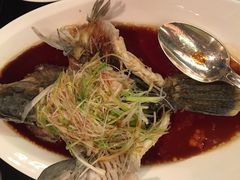 清蒸东星斑-北京四季酒店·采逸轩