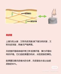 -海茱雅科技健康美容