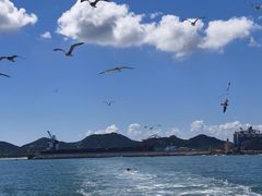 -海驴岛(荣成市)