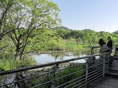 -西湖风景区-江洋畈生态公园