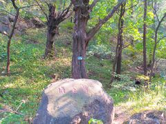 -香山公园