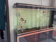 -回头客餐厅·家的味道农家菜·虹鳟鱼·铁锅炖(雁栖湖店)