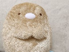 -玩具反斗城(海港城店)