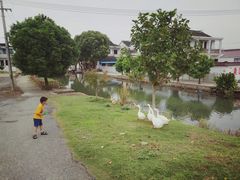 -乡乐园蟹庄·阳澄湖农家乐