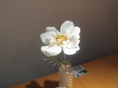 -麓椿花园西餐厅(海乐世界店)