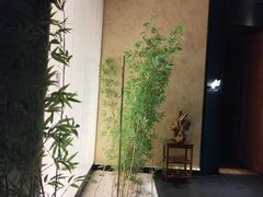 -新紫霞养生·影院足道·SPA(金山区店)