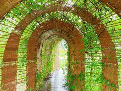 -祥源·阜阳生态乐园