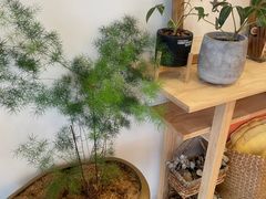 -团子君寿司·茶