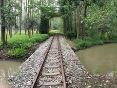 -合肥滨湖国家森林公园