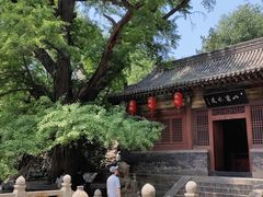 -晋祠公园