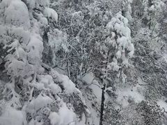 -西岭雪山大飞水景区