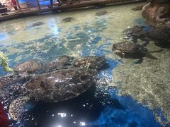 -邯郸海洋世界