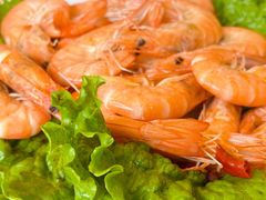 -民族饭荘(新华大街店)