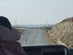 -水洞沟旅游区