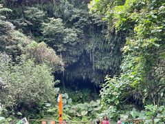 -海口火山口国家地质公园
