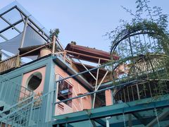 -喵屿·大理花园猫咖