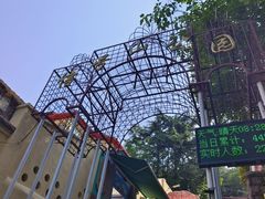 -信号山公园