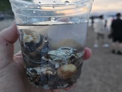 -碧桂园十里银滩