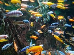 -太平洋海底世界