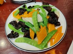 -邵年鸽(杨庄店)