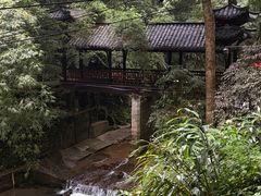 -美食村花园餐厅