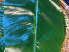 -甘家界牌柠檬鸭(青山店)