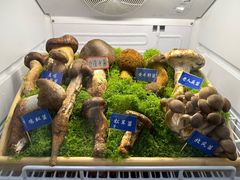 -束河人家(南锣鼓巷店)