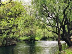 -贵阳市花溪国家城市湿地公园