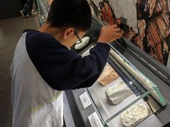 -湖南省地质博物馆