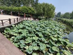 -丁家河公园