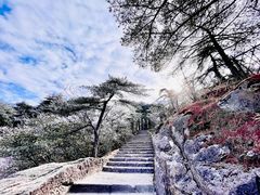 -黄山风景区