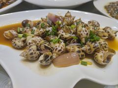 辣炒花螺-华盛丰温州大排档(东三环南路店)